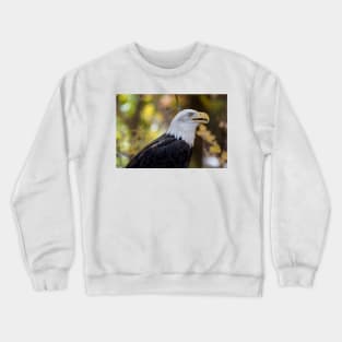 Bald Eagle Crewneck Sweatshirt